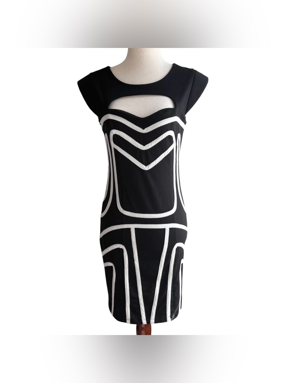 Seductions Black & White Dress